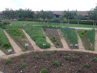 Italien, Paestum, Büffelfarm Vannulo