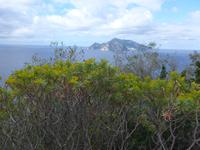 Italien, Wanderung Punta Campanella - Mt.S.Costanzo