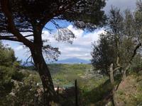Italien, Wanderung Punta Campanella - Mt.S.Costanzo