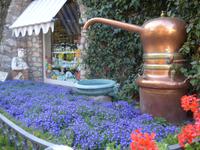 Italien, Capri, Parfümerie