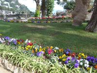 Italien, Capri, Augustusgärten