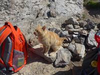 Italien, Wanderung am Götterweg