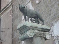  Ursprung der ewigen Stadt:die Wölfin säugt Romulus und Remus