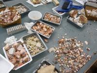 Spilimbergo Mosaikschule