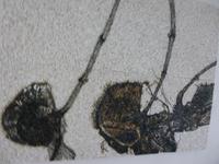 Spilimbergo Mosaikschule