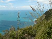 Wanderung Campiglia - Portovenere 3