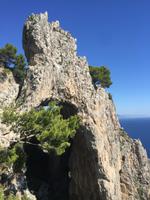 136 Arco Naturale