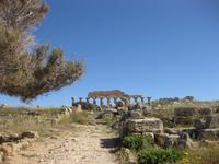 In den  Ausgrabungsstätten von Selinunte 