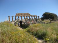 In den Ausgrabungsstätten von Selinunte 