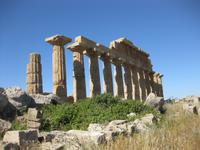 In den Ausgrabungsstätten von Selinunte 