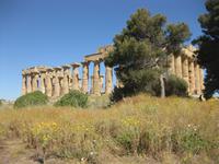 Die Ausgrabungsstätten von Selinunte 