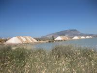 Die Salinen bei Trapani 