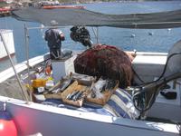 Im Fischereihafen von Lipari