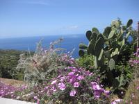 Lipari - Inselrundfahrt - an der Küste