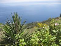 Vulcano - Jnselrundfahrt