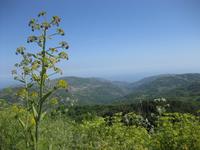 ... und Blick in die Umgebung von Montalbano Elicona