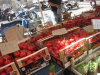 ... frisch geerntete Tomaten