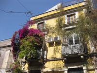 Bummel durch Catania