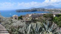Procida - Ischia
