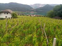 Bald kommen wir zum See