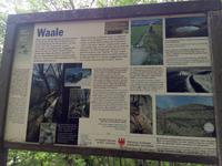 Was sind Waalwege?