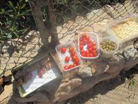 09.05 Isola Rossa 33