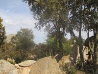 10.05.17 Monte Pulchicena 10