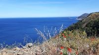 Cap Corse (Golfe d´Aliso)