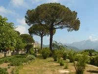 Ravello Villa Cimbrone 5