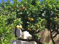 Spaziergang durch Lingua (3)