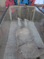 Besichtigung der Ruinenstadt von Pompeji (7)