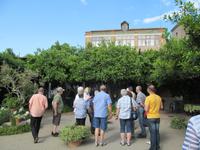 Führung über Zitronenplantage (14)