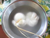 Herstellung von Mozzarella (8)