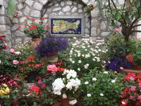 Blick auf ein Mosaik der Insel Capri
