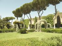 26.05.2017 Vatikanische Gärten 