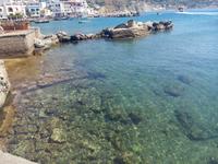 Das transparente Wasser