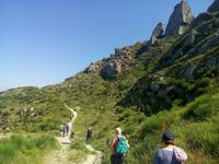 Dem Weg zum Monte Epomeo