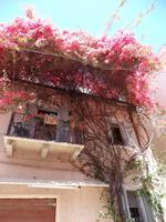 Singlereise Sardinien - La Maddalena