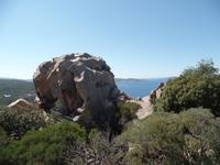 Singlereise Sardinien - Bärenfelsen bei Palau