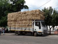 Singlereise Sardinien - Orgosolo