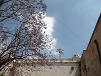 Singlereise Sardinien - Cagliari