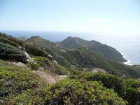 Singlereise Sardinien - Richtung Alghero