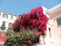 Singlereise Sardinien - Sassari