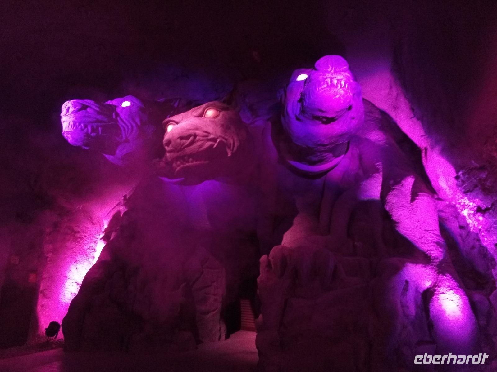 Botanische Unterwelt