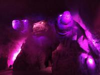 Botanische Unterwelt