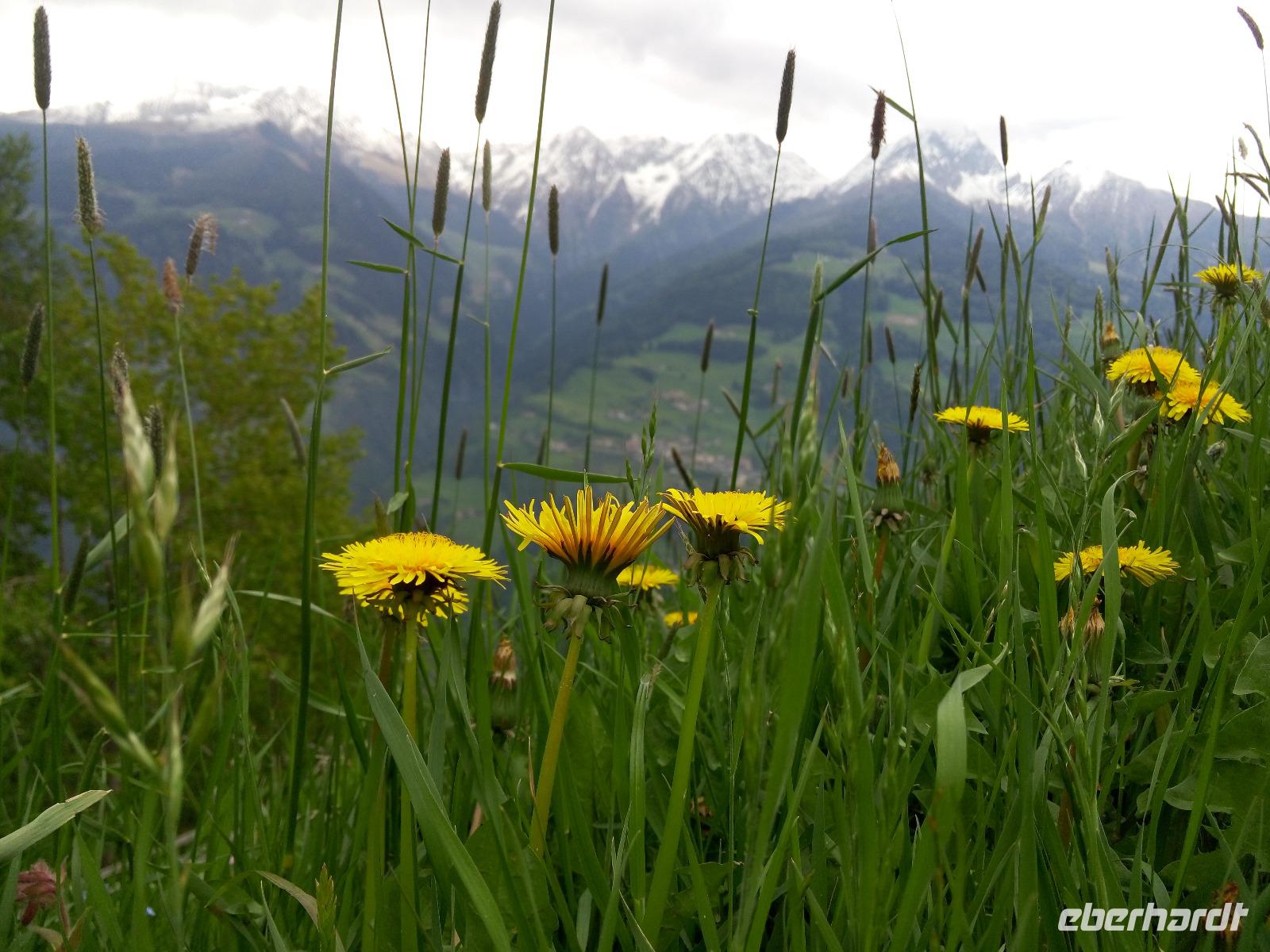 Die Berge im Hintergrund