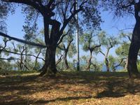 Wanderung zum Punta Manara