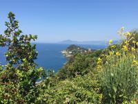 Wanderung zum Punta Manara - Blick auf Sestri Levante