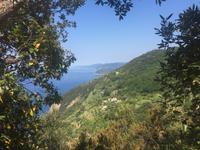 Wanderung von Levanto nach Monterosso