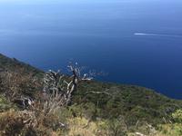 Wanderung von Levanto nach Monterosso